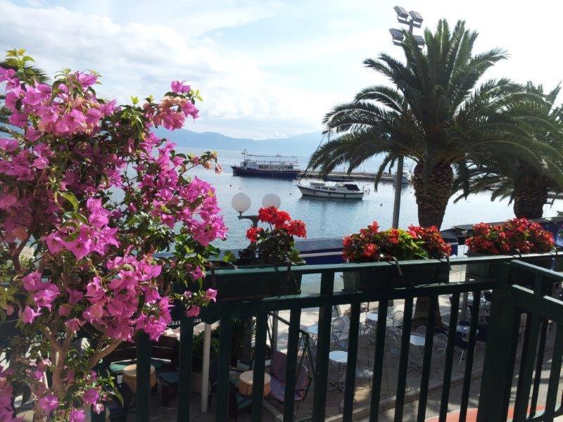 Apartman IRIS Gradac  Bagian luar foto